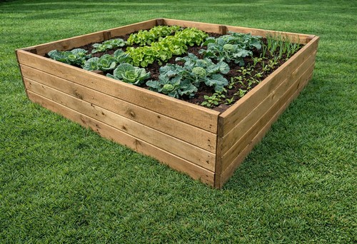 Raised wooden vegetable garden - raised,